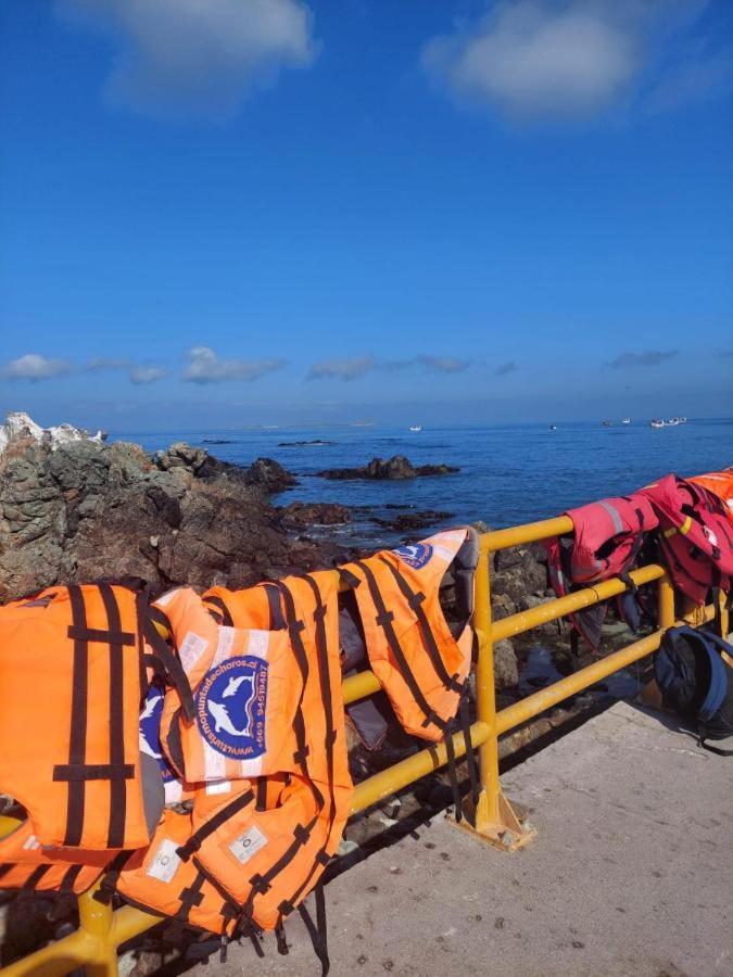 Refugio Del Archipielago Punta de Choros Bagian luar foto